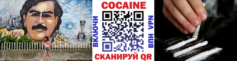 Купить где  Лобня  COCAIN Fish Scale 