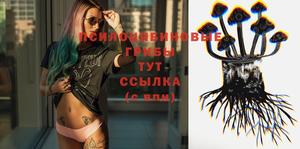 2c-b Белоозёрский